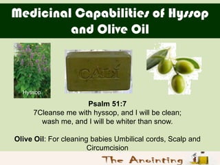 Medicinal Capabilities of Hyssop
         and Olive Oil



  Hyssop

                    Psalm 51:7
     7Cleanse me with ...