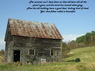 The summer sun's beat down on that old barn till all the paint's gone, and the wood has turned silver gray.Now the old building leans a good deal, looking kind of tired.Yet, that fellow called it beautiful.