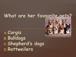 What are her favourite pets?
A.Corgis
B.Bulldogs
C.Shepherd’s dogs
D.Rottweilers
 