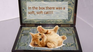 In the box there was a
soft, soft cat!!!
 