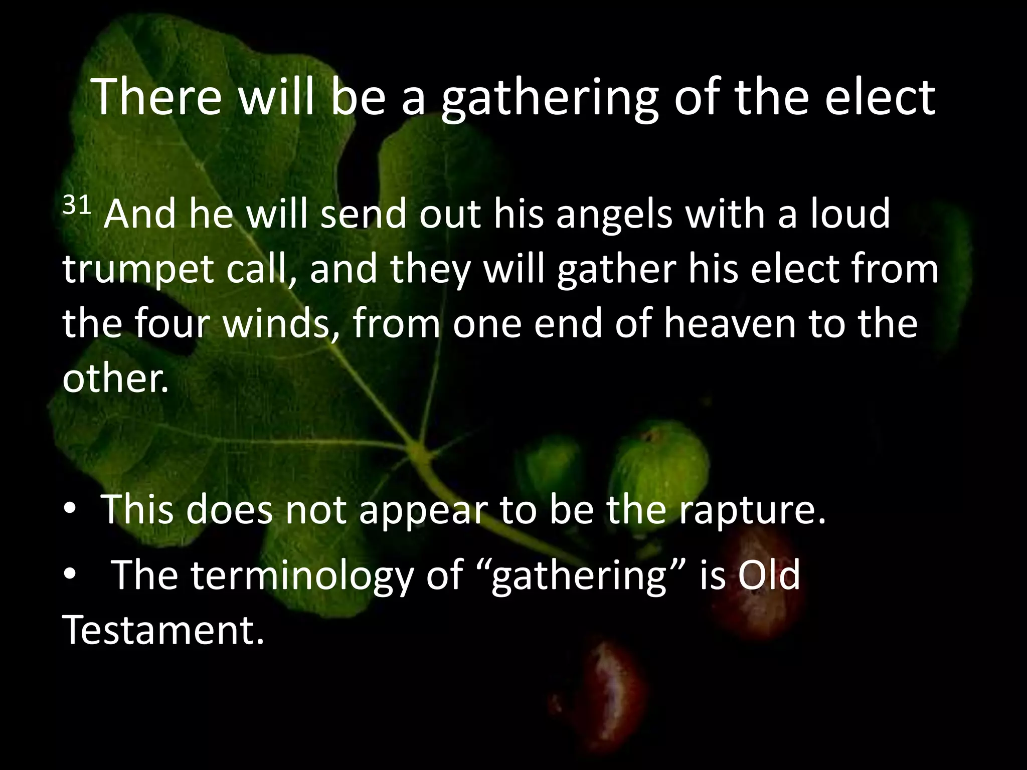 There will be a gathering of the elect
31 And he will send out his angels with a loud
trumpet call, and they will gather his elect from
the four winds, from one end of heaven to the
other.
• This does not appear to be the rapture.
• The terminology of “gathering” is Old
Testament.
 