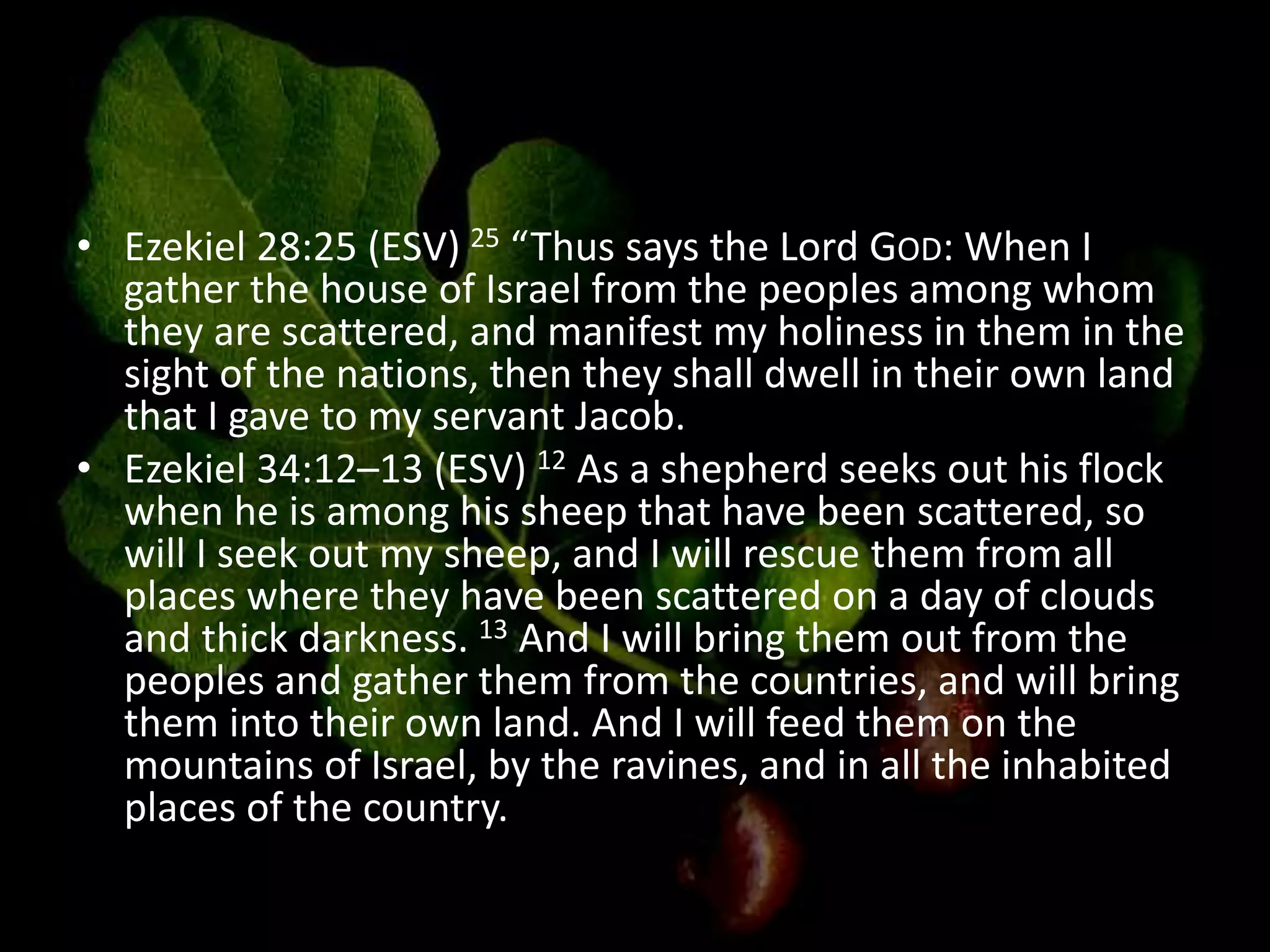 • Ezekiel 28:25 (ESV) 25 “Thus says the Lord GOD: When I
gather the house of Israel from the peoples among whom
they are scattered, and manifest my holiness in them in the
sight of the nations, then they shall dwell in their own land
that I gave to my servant Jacob.
• Ezekiel 34:12–13 (ESV) 12 As a shepherd seeks out his flock
when he is among his sheep that have been scattered, so
will I seek out my sheep, and I will rescue them from all
places where they have been scattered on a day of clouds
and thick darkness. 13 And I will bring them out from the
peoples and gather them from the countries, and will bring
them into their own land. And I will feed them on the
mountains of Israel, by the ravines, and in all the inhabited
places of the country.
 