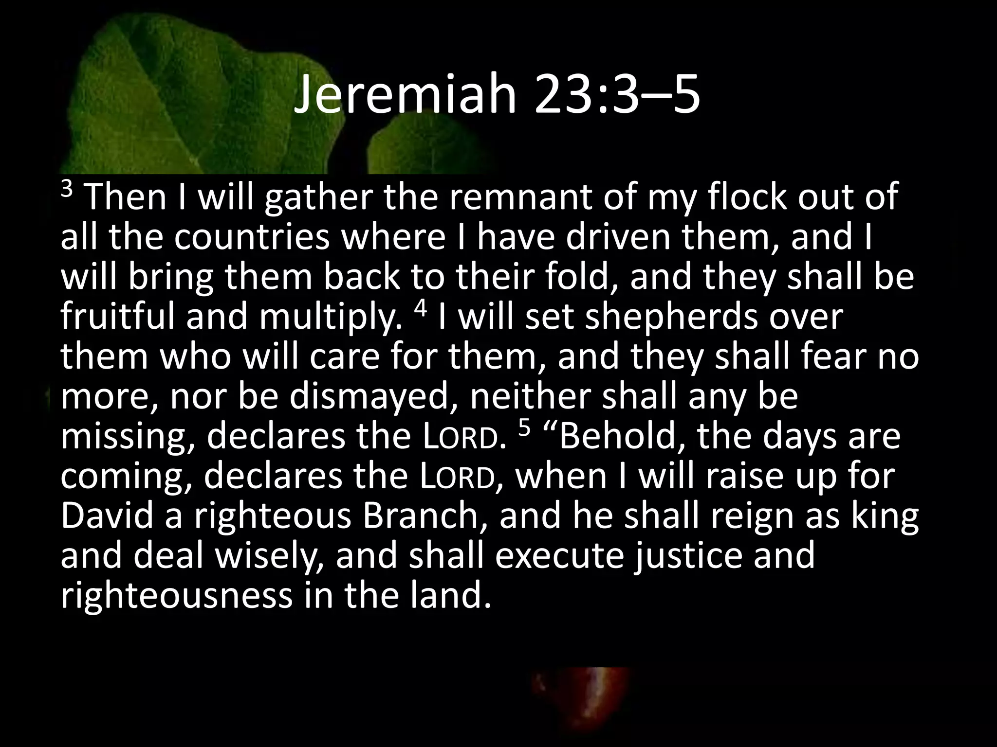 Jeremiah 23:3–5
3 Then I will gather the remnant of my flock out of
all the countries where I have driven them, and I
will bring them back to their fold, and they shall be
fruitful and multiply. 4 I will set shepherds over
them who will care for them, and they shall fear no
more, nor be dismayed, neither shall any be
missing, declares the LORD. 5 “Behold, the days are
coming, declares the LORD, when I will raise up for
David a righteous Branch, and he shall reign as king
and deal wisely, and shall execute justice and
righteousness in the land.
 
