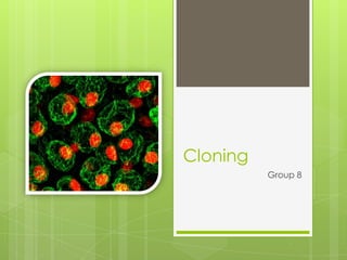 Cloning
          Group 8
 