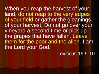 When you reap the harvest of your land,  do not reap to the very edges of your field  or gather the gleanings of your harvest. Do not go over your vineyard a second time or pick up the grapes that have fallen.  Leave them for the poor and the alien.  I am the Lord your God. Leviticus 19:9-10 