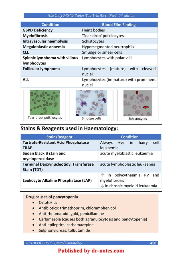 The Only MRCP Notes You Will Ever Need 5th Edition | PDF | Educational ...