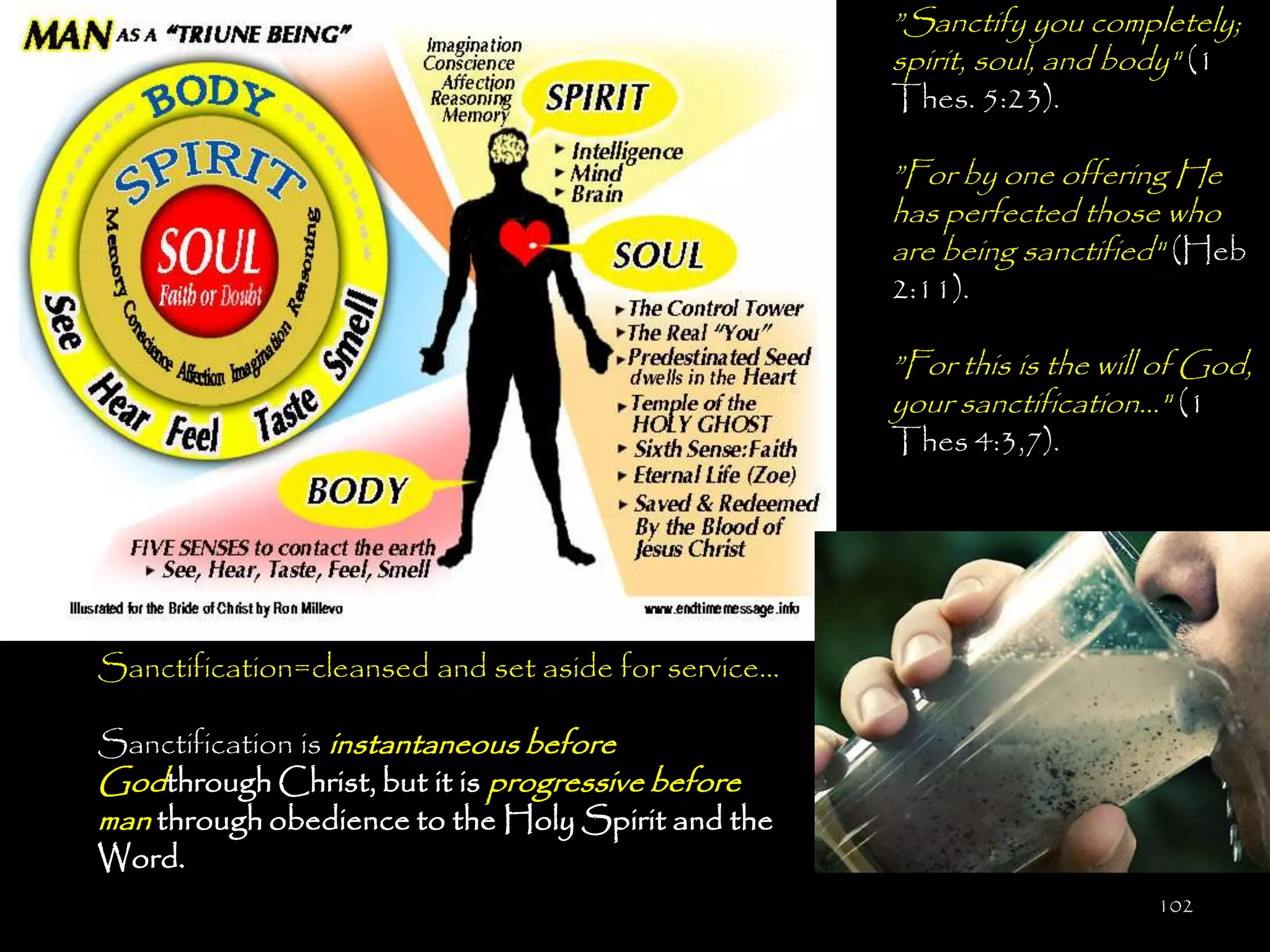 ‖Sanctify you completely;
                                                     spirit, soul, and body" (1
                                                     Thes. 5:23).

                                                     ‖For by one offering He
                                                     has perfected those who
                                                     are being sanctified" (Heb
                                                     2:11).

                                                     ‖For this is the will of God,
                                                     your sanctification…" (1
                                                     Thes 4:3,7).




Sanctification=cleansed and set aside for service…

Sanctification is instantaneous before
Godthrough Christ, but it is progressive before
man through obedience to the Holy Spirit and the
Word.
                                                                          102
 