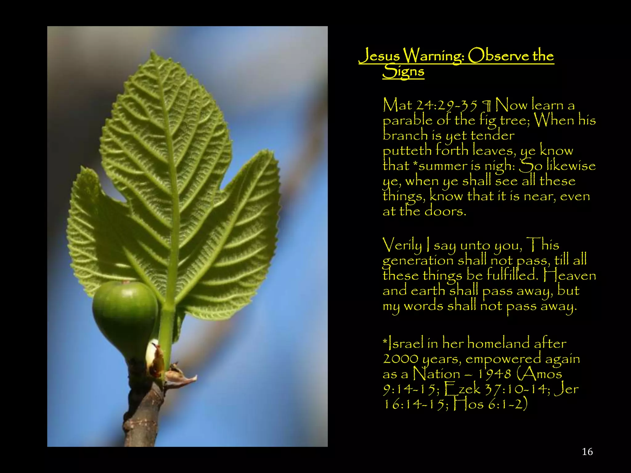 Jesus Warning: Observe the
   Signs

   Mat 24:29-35 ¶ Now learn a
   parable of the fig tree; When his
   branch is yet tender, and
   putteth forth leaves, ye know
   that *summer is nigh: So likewise
   ye, when ye shall see all these
   things, know that it is near, even
   at the doors.

   Verily I say unto you, This
   generation shall not pass, till all
   these things be fulfilled. Heaven
   and earth shall pass away, but
   my words shall not pass away.

   *Israel in her homeland after
   2000 years, empowered again
   as a Nation – 1948 (Amos
   9:14-15; Ezek 37:10-14; Jer
   16:14-15; Hos 6:1-2)

                                   16
 