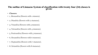 The outline of Linnaeus System of classification with twenty four (24) classes is
given:
• Classes:
• 1. Monandria (flowers with 1 stamen).
• 2. Diandria (flowers with 2 stamens).
• 3. Triandria (flowers with 3 stamens).
• 4. Tetrandria (flowers with 4 stamens).
• 5. Pentrandria (flowers with 5 stamens).
• 6. Hexandria (flowers with 6 stamens).
• 7. Heptandria (flowers with 7 stamens).
• 8. Octandria (flowers with 8 stamens).
 
