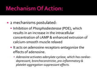  2 mechanisms postulated:
 Inhibition of Phosphodiesterase (PDE), which
results in an increase in the intracellular
concentration of cAMP & enhanced extrusion of
calcium-smooth muscle relaxed
 It acts on adenosine receptors-antagonize the
effects of adenosine.
▪ Adenosine activates adenylate cyclase, which has cardiac-
depressant, bronchoconstrictor, pro-inflammatory &
platelet-aggregation-suppressant effects.
 