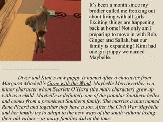 It’s been a month since my brother called me freaking out about living with all girls. Exciting things are happening back at home! Not only am I preparing to move in with Rob, Ginger and Sallah, but our family is expanding! Kimi had one girl puppy we named Maybelle.  -------------------------------- Diver and Kimi’s new puppy is named after a character from Margaret Mitchell’s  Gone with the Wind . Maybelle Merriweather is a minor character whom Scarlett O’Hara (the main character) grew up with as a child. Maybelle is definitely one of the popular Southern belles and comes from a prominent Southern family. She marries a man named Rene Picard and together they have a son. After the Civil War Maybelle and her family try to adapt to the new ways of the south without losing their old values – as many families did at the time.  