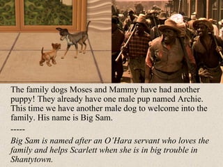 The family dogs Moses and Mammy have had another puppy! They already have one male pup named Archie. This time we have another male dog to welcome into the family. His name is Big Sam.  ----- Big Sam is named after an O’Hara servant who loves the family and helps Scarlett when she is in big trouble in Shantytown. 