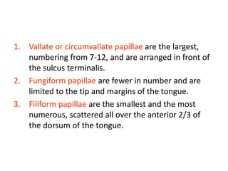 1. Vallate or circumvallate papillae are the largest,
   numbering from 7-12, and are arranged in front of
   the sulcus terminalis.
2. Fungiform papillae are fewer in number and are
   limited to the tip and margins of the tongue.
3. Filiform papillae are the smallest and the most
   numerous, scattered all over the anterior 2/3 of
   the dorsum of the tongue.
 