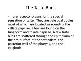 The Taste Buds
- are receptor organs for the special
sensation of taste. They are pale oval bodies
most of which are located surrounding the
vallate papillae; a few are found on the
fungiform and foliate papillae. A few taste
buds are scattered through the epithelium of
the oral surface of the soft palate, the
posterior wall of the pharynx, and the
epiglottis.
 