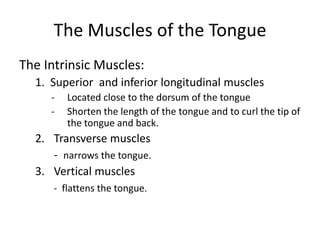 The Muscles of the Tongue
The Intrinsic Muscles:
  1. Superior and inferior longitudinal muscles
     -   Located close to the dorsum of the tongue
     -   Shorten the length of the tongue and to curl the tip of
         the tongue and back.
  2. Transverse muscles
     - narrows the tongue.
  3. Vertical muscles
      - flattens the tongue.
 