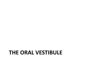 THE ORAL VESTIBULE
 
