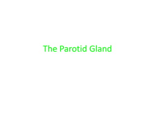 The Parotid Gland
 