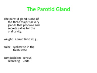 The Parotid Gland
The parotid gland is one of
  the three major salivary
  glands that produce and
  secrete saliva for the
  oral cavity.

weight: about 14 to 28 g.

color :yellowish in the
      fresh state

composition: serous
  secreting units
 