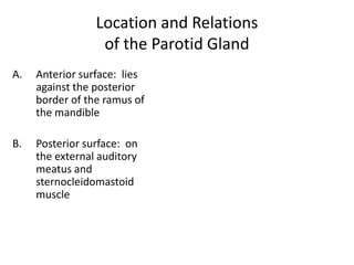 Location and Relations
                  of the Parotid Gland
A.   Anterior surface: lies
     against the posterior
     border of the ramus of
     the mandible

B.   Posterior surface: on
     the external auditory
     meatus and
     sternocleidomastoid
     muscle
 