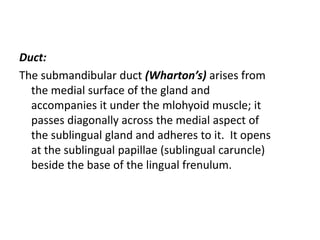 Duct:
The submandibular duct (Wharton’s) arises from
  the medial surface of the gland and
  accompanies it under the mlohyoid muscle; it
  passes diagonally across the medial aspect of
  the sublingual gland and adheres to it. It opens
  at the sublingual papillae (sublingual caruncle)
  beside the base of the lingual frenulum.
 