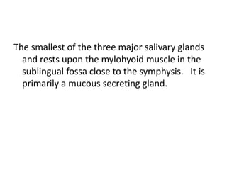 The smallest of the three major salivary glands
  and rests upon the mylohyoid muscle in the
  sublingual fossa close to the symphysis. It is
  primarily a mucous secreting gland.
 