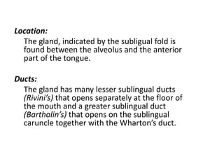 Location:
  The gland, indicated by the subligual fold is
  found between the alveolus and the anterior
  part of the tongue.

Ducts:
  The gland has many lesser sublingual ducts
  (Rivini’s) that opens separately at the floor of
  the mouth and a greater sublingual duct
  (Bartholin’s) that opens on the sublingual
  caruncle together with the Wharton’s duct.
 
