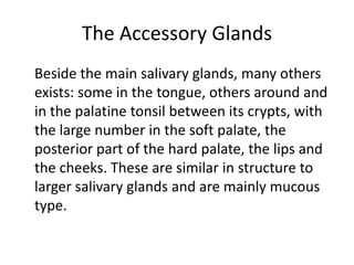 The Accessory Glands
Beside the main salivary glands, many others
exists: some in the tongue, others around and
in the palatine tonsil between its crypts, with
the large number in the soft palate, the
posterior part of the hard palate, the lips and
the cheeks. These are similar in structure to
larger salivary glands and are mainly mucous
type.
 