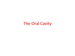 The Oral Cavity
 