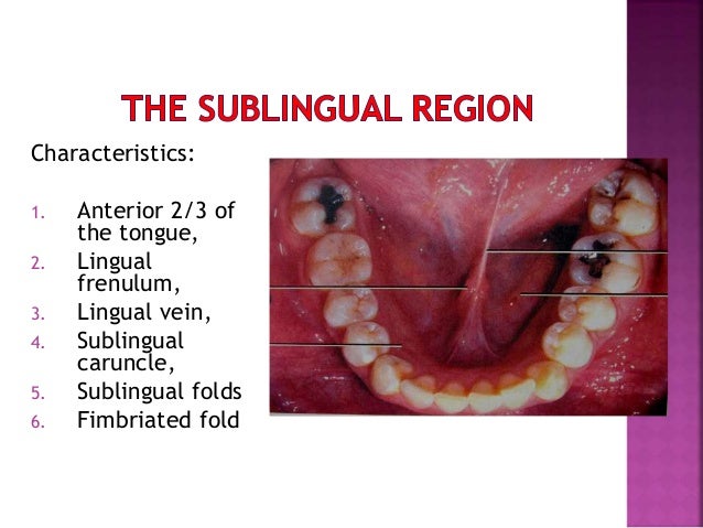 The oral cavity by Dr. Rohit Bhardwaj