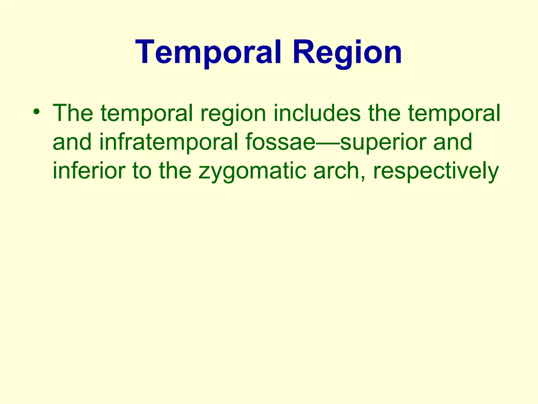 Temporal Region
• The temporal region includes the temporal
and infratemporal fossae—superior and
inferior to the zygomatic arch, respectively
 