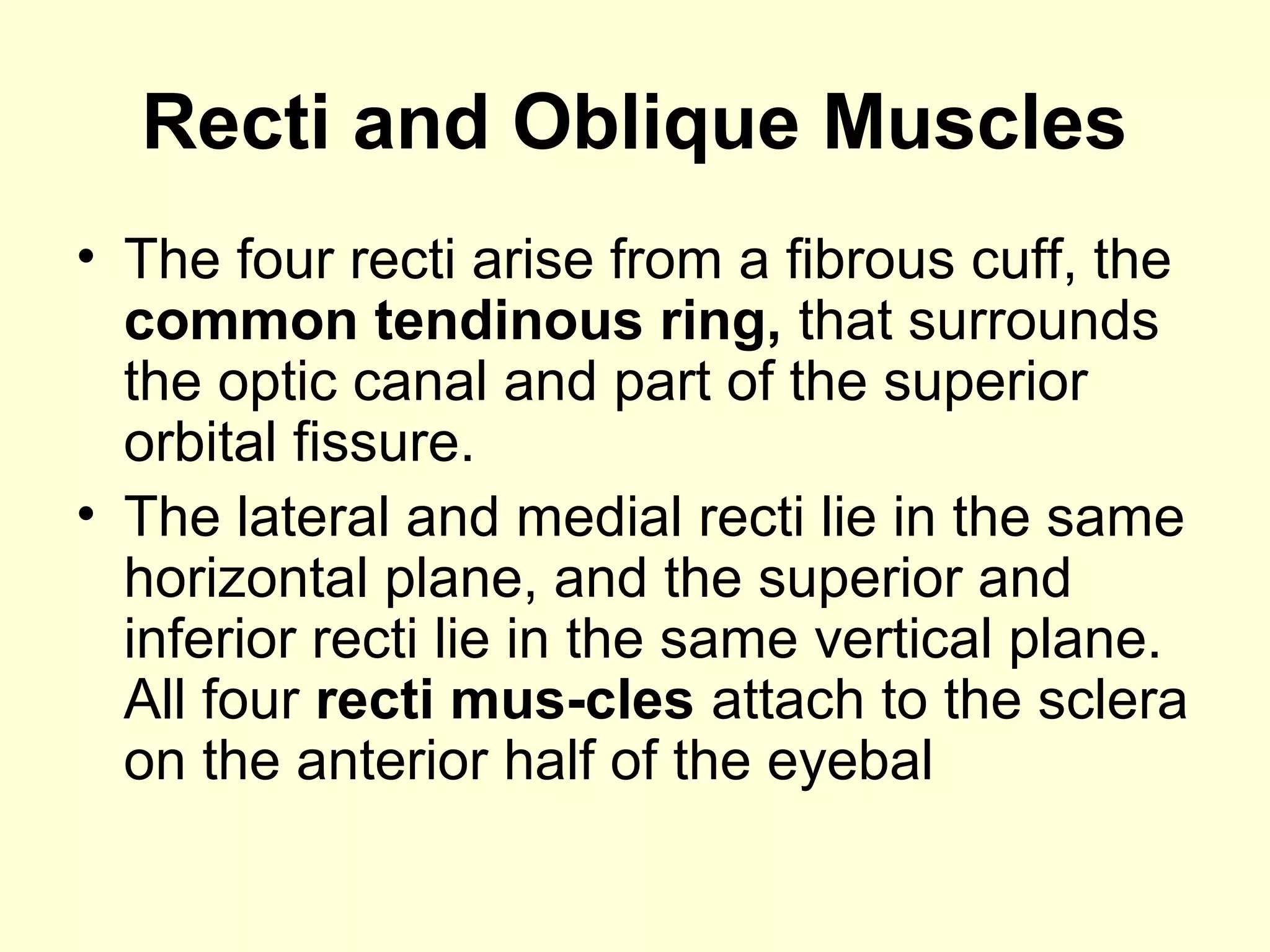 Recti and Oblique Muscles
• The four recti arise from a fibrous cuff, the
common tendinous ring, that surrounds
the optic canal and part of the superior
orbital fissure.
• The lateral and medial recti lie in the same
horizontal plane, and the superior and
inferior recti lie in the same vertical plane.
All four recti mus­cles attach to the sclera
on the anterior half of the eyebal
 