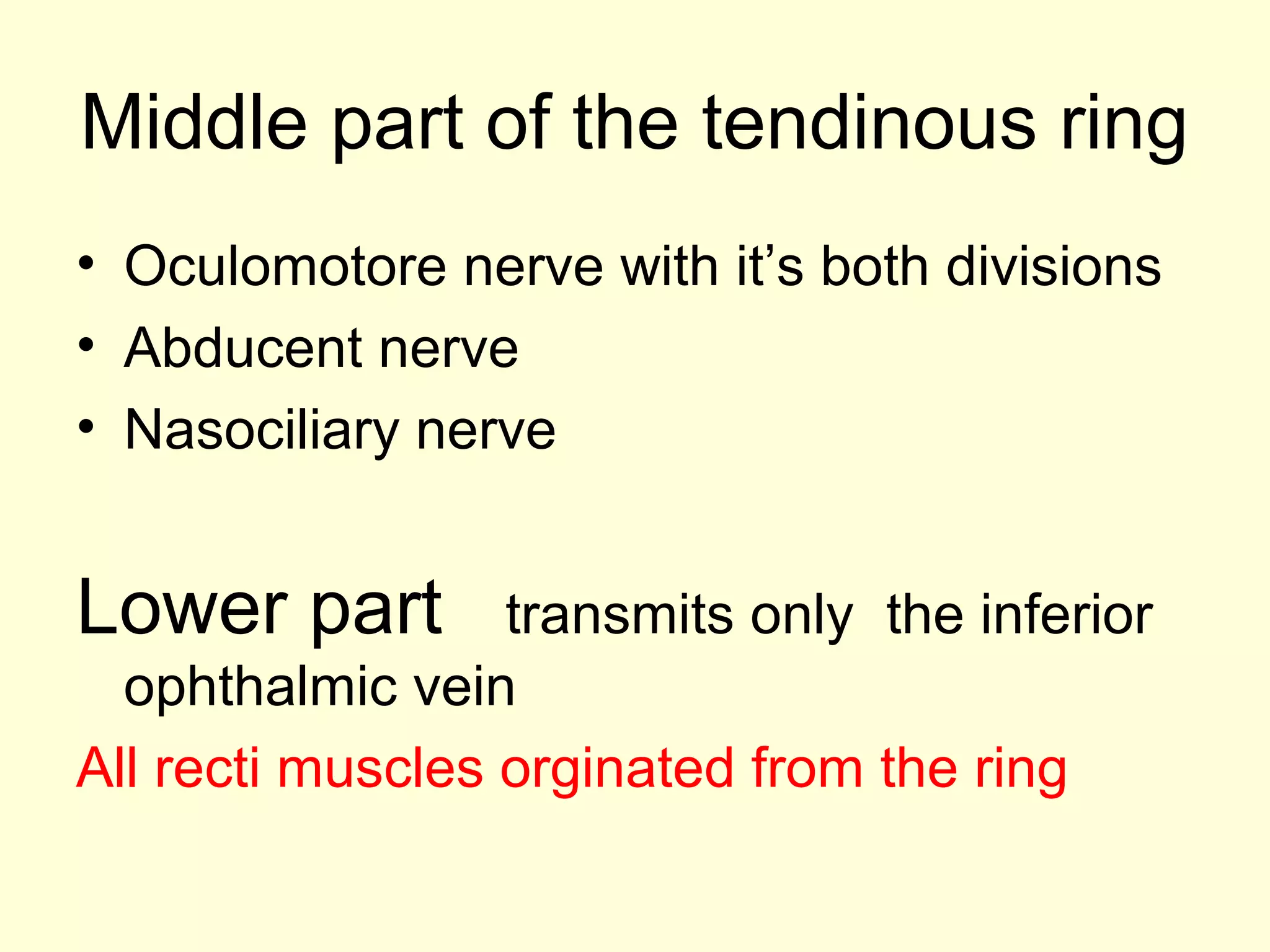 Middle part of the tendinous ring
• Oculomotore nerve with it’s both divisions
• Abducent nerve
• Nasociliary nerve
Lower part transmits only the inferior
ophthalmic vein
All recti muscles orginated from the ring
 