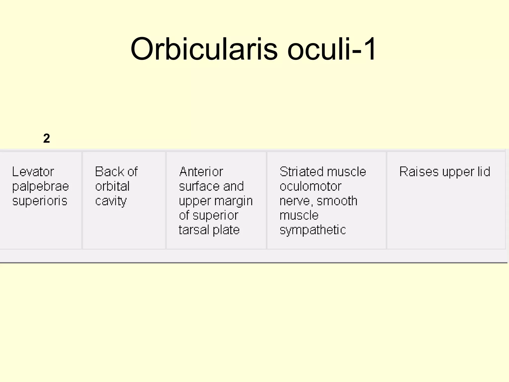 1-Orbicularis oculi
2
 