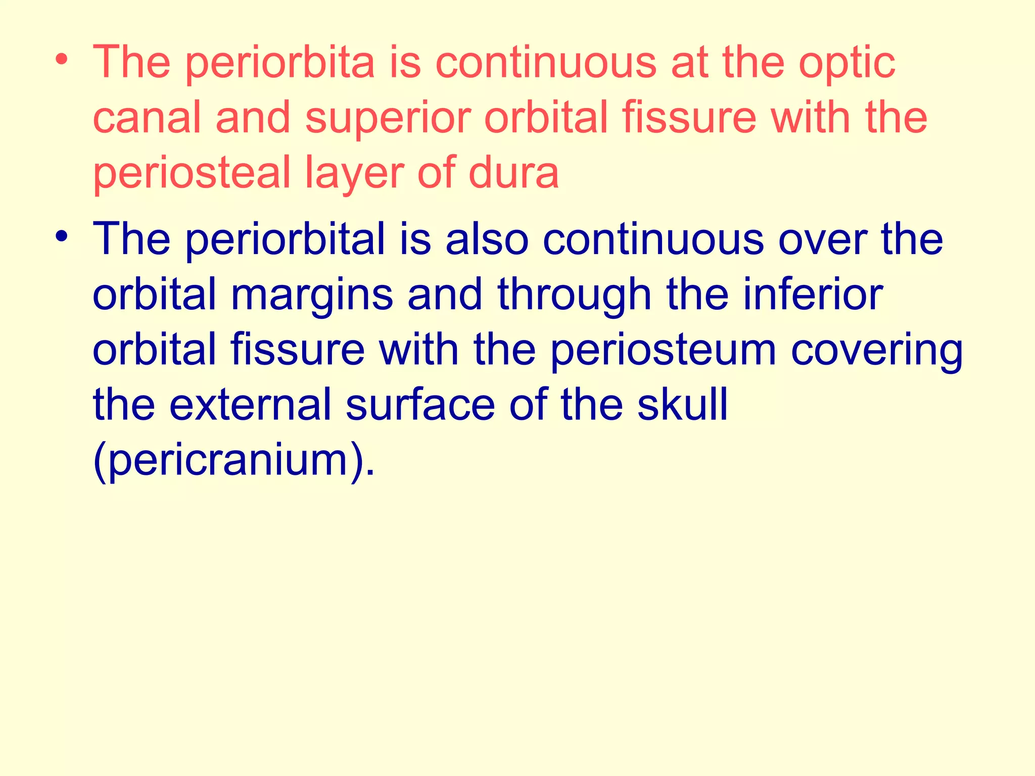• The periorbita is continuous at the optic
canal and superior orbital fissure with the
periosteal layer of dura
• The periorbital is also continuous over the
orbital margins and through the inferior
orbital fissure with the periosteum covering
the external surface of the skull
(pericranium).
 