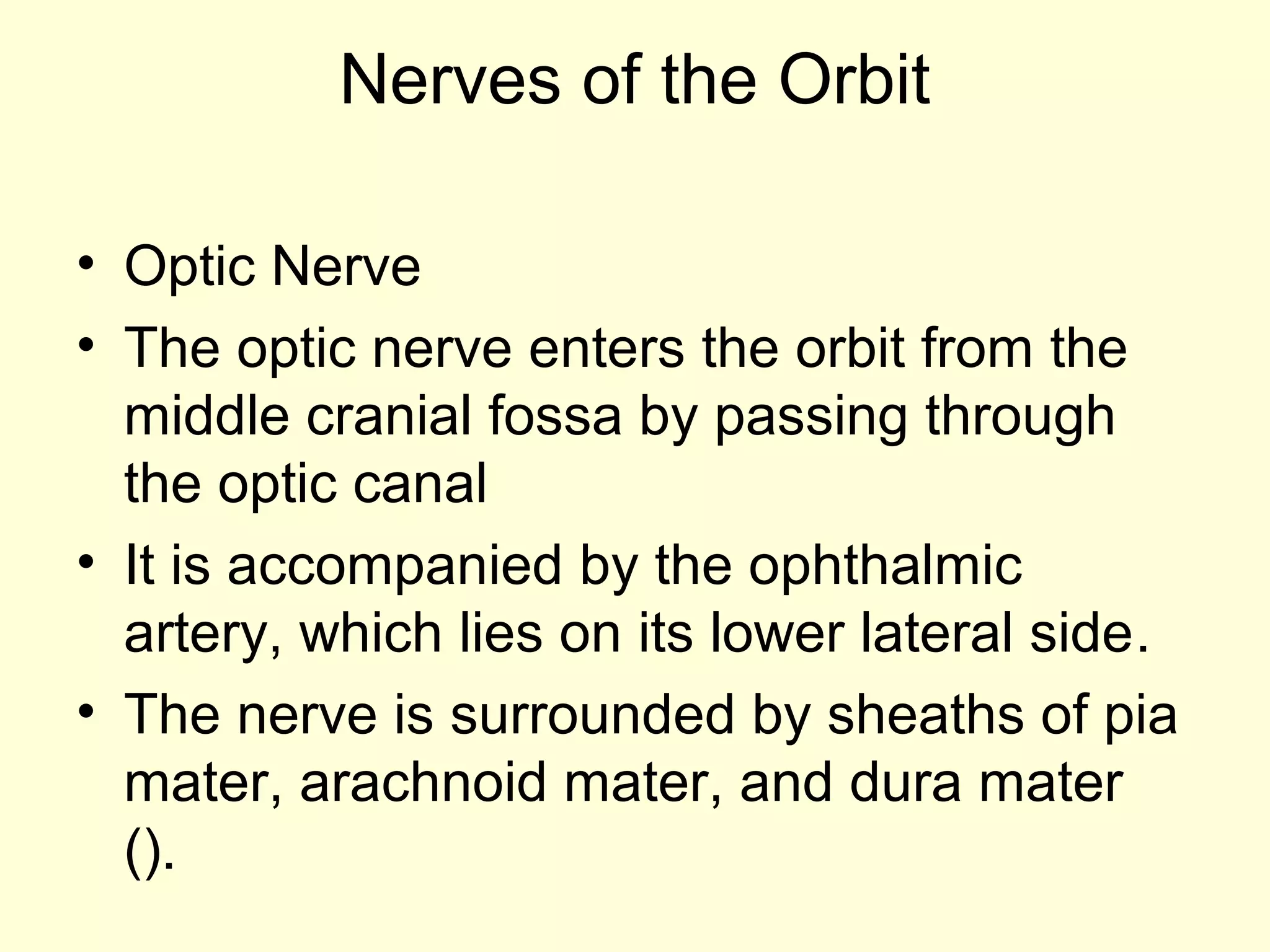 Nerves of the Orbit
• Optic Nerve
• The optic nerve enters the orbit from the
middle cranial fossa by passing through
the optic canal
• It is accompanied by the ophthalmic
artery, which lies on its lower lateral side.
• The nerve is surrounded by sheaths of pia
mater, arachnoid mater, and dura mater
().
 