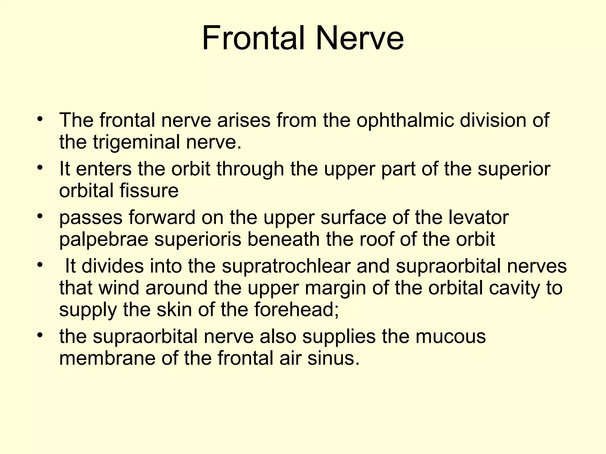 Frontal Nerve
• The frontal nerve arises from the ophthalmic division of
the trigeminal nerve.
• It enters the orbit through the upper part of the superior
orbital fissure
• passes forward on the upper surface of the levator
palpebrae superioris beneath the roof of the orbit
• It divides into the supratrochlear and supraorbital nerves
that wind around the upper margin of the orbital cavity to
supply the skin of the forehead;
• the supraorbital nerve also supplies the mucous
membrane of the frontal air sinus.
 