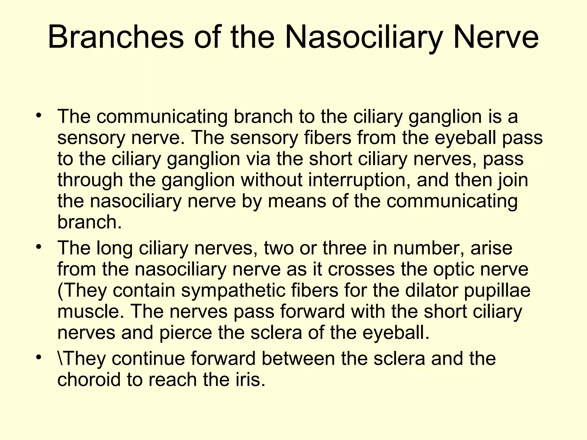 Branches of the Nasociliary Nerve
• The communicating branch to the ciliary ganglion is a
sensory nerve. The sensory fibers from the eyeball pass
to the ciliary ganglion via the short ciliary nerves, pass
through the ganglion without interruption, and then join
the nasociliary nerve by means of the communicating
branch.
• The long ciliary nerves, two or three in number, arise
from the nasociliary nerve as it crosses the optic nerve
(They contain sympathetic fibers for the dilator pupillae
muscle. The nerves pass forward with the short ciliary
nerves and pierce the sclera of the eyeball.
• They continue forward between the sclera and the
choroid to reach the iris.
 