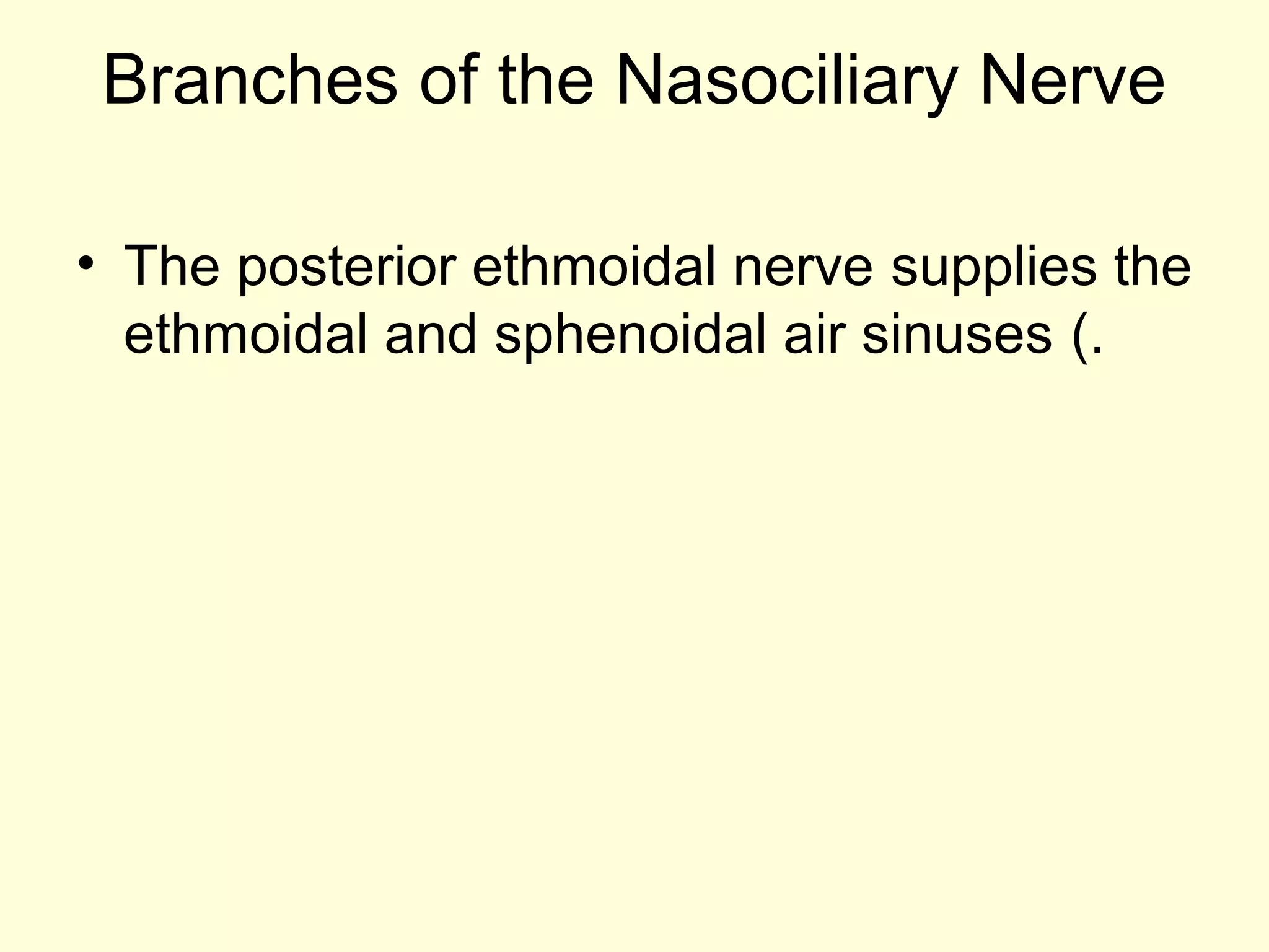 Branches of the Nasociliary Nerve
• The posterior ethmoidal nerve supplies the
ethmoidal and sphenoidal air sinuses (.
 