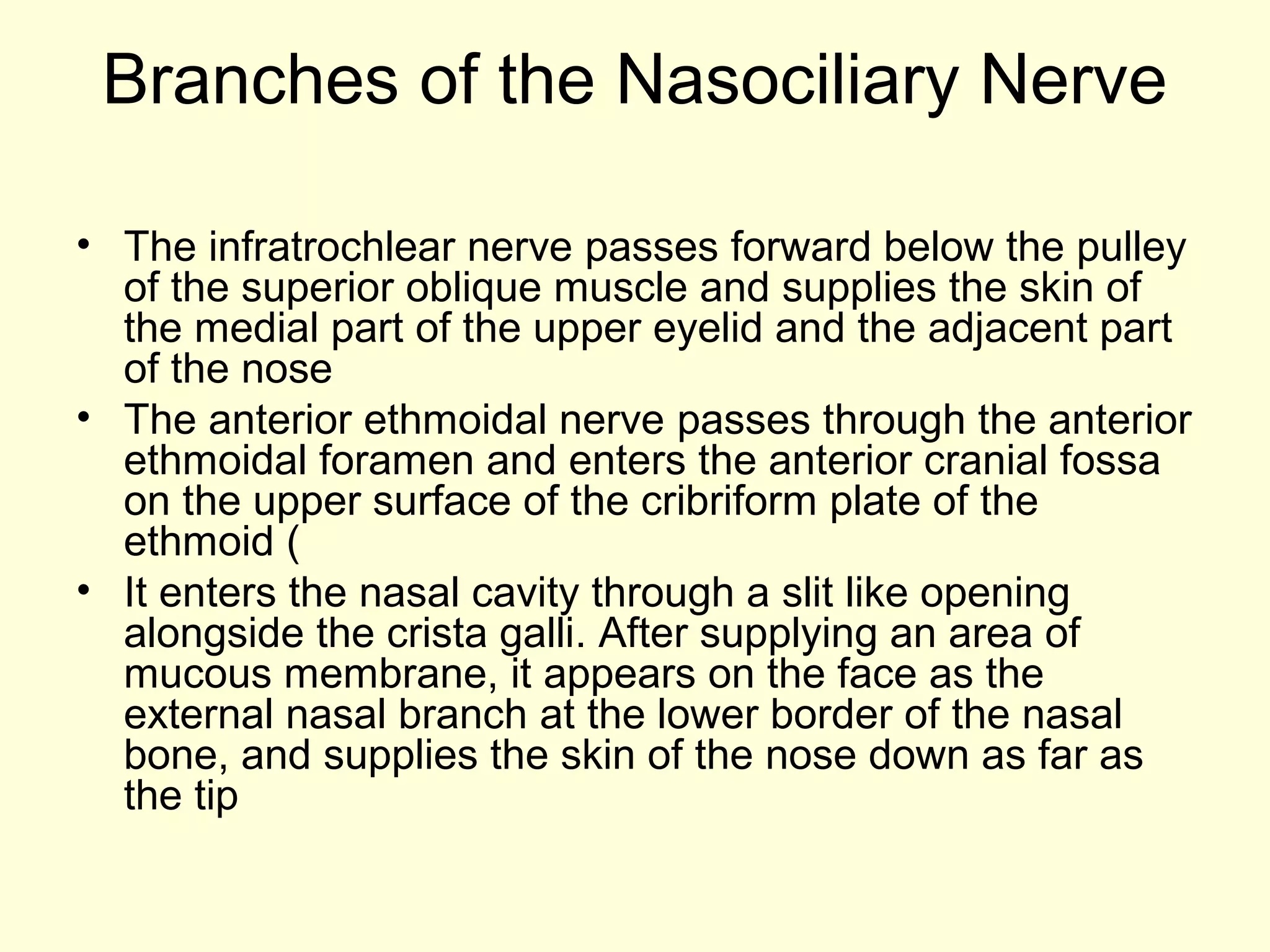 Branches of the Nasociliary Nerve
• The infratrochlear nerve passes forward below the pulley
of the superior oblique muscle and supplies the skin of
the medial part of the upper eyelid and the adjacent part
of the nose
• The anterior ethmoidal nerve passes through the anterior
ethmoidal foramen and enters the anterior cranial fossa
on the upper surface of the cribriform plate of the
ethmoid (
• It enters the nasal cavity through a slit like opening
alongside the crista galli. After supplying an area of
mucous membrane, it appears on the face as the
external nasal branch at the lower border of the nasal
bone, and supplies the skin of the nose down as far as
the tip
 