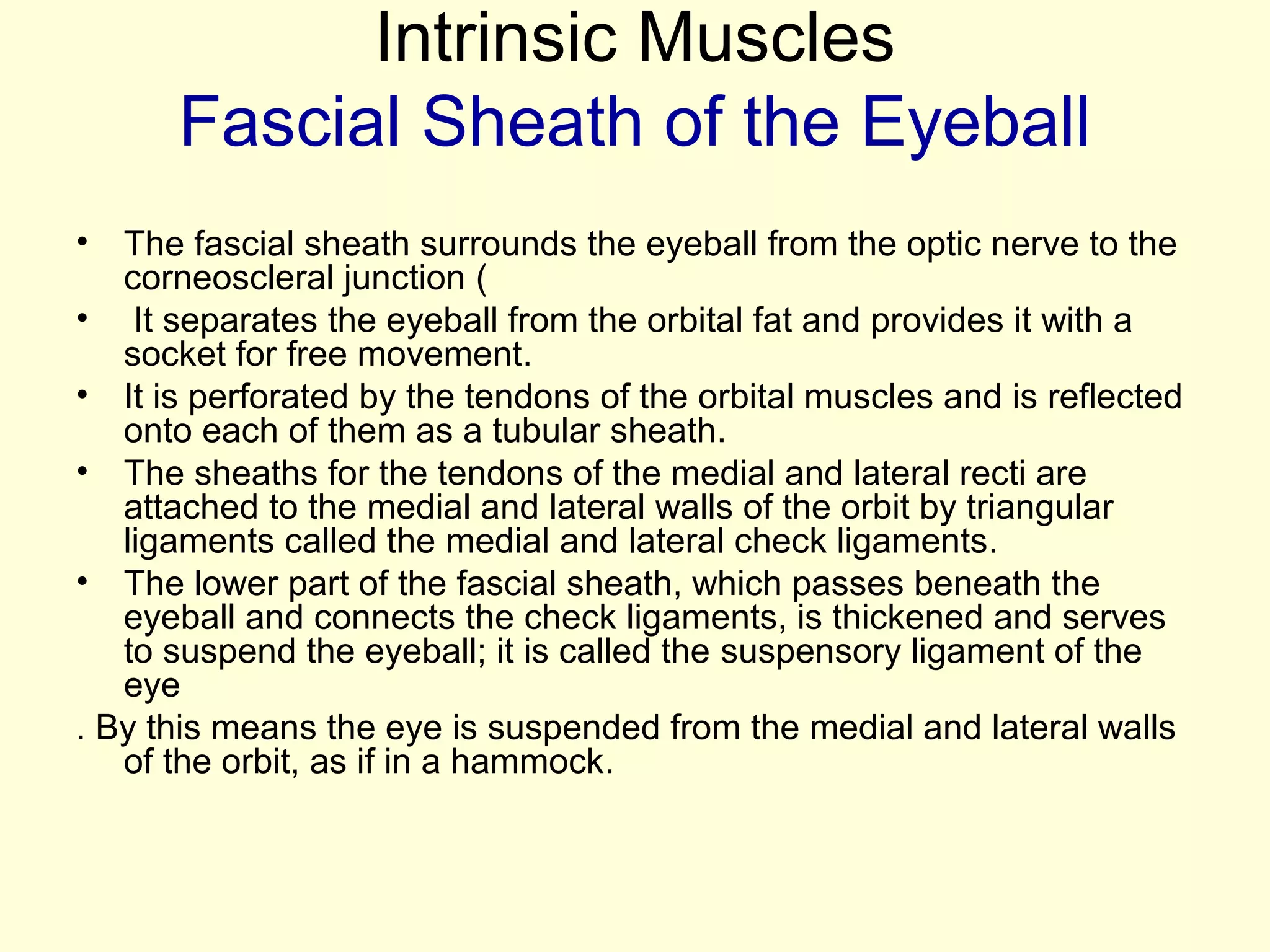 Intrinsic Muscles
Fascial Sheath of the Eyeball
• The fascial sheath surrounds the eyeball from the optic nerve to the
corneoscleral junction (
• It separates the eyeball from the orbital fat and provides it with a
socket for free movement.
• It is perforated by the tendons of the orbital muscles and is reflected
onto each of them as a tubular sheath.
• The sheaths for the tendons of the medial and lateral recti are
attached to the medial and lateral walls of the orbit by triangular
ligaments called the medial and lateral check ligaments.
• The lower part of the fascial sheath, which passes beneath the
eyeball and connects the check ligaments, is thickened and serves
to suspend the eyeball; it is called the suspensory ligament of the
eye
. By this means the eye is suspended from the medial and lateral walls
of the orbit, as if in a hammock.
 