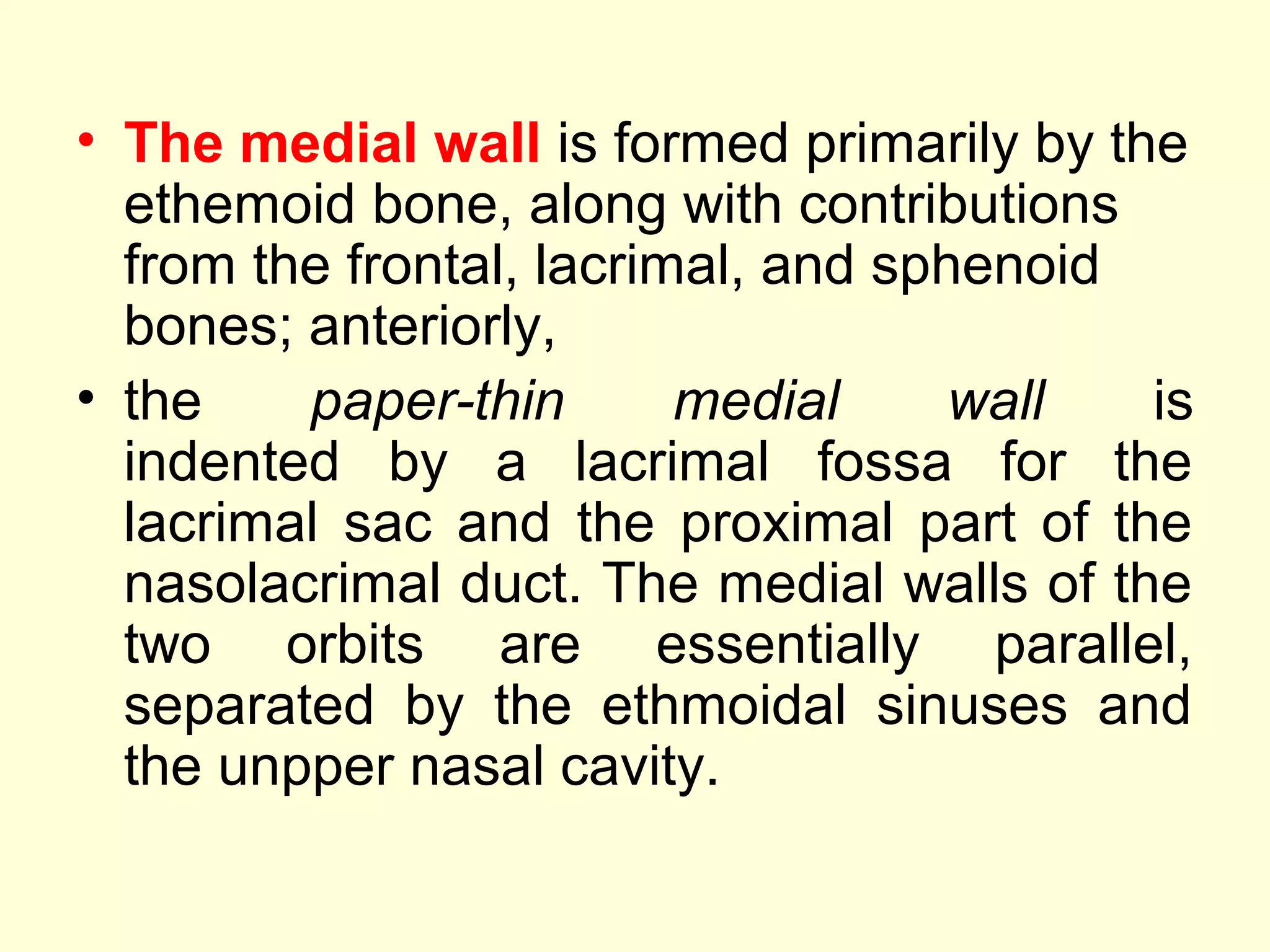 • The medial wall is formed primarily by the
ethemoid bone, along with contributions
from the frontal, lacrimal, and sphenoid
bones; anteriorly,
• the paper-thin medial wall is
indented by a lacrimal fossa for the
lacrimal sac and the proximal part of the
nasolacrimal duct. The medial walls of the
two orbits are essentially parallel,
separated by the ethmoidal sinuses and
the unpper nasal cavity.
 