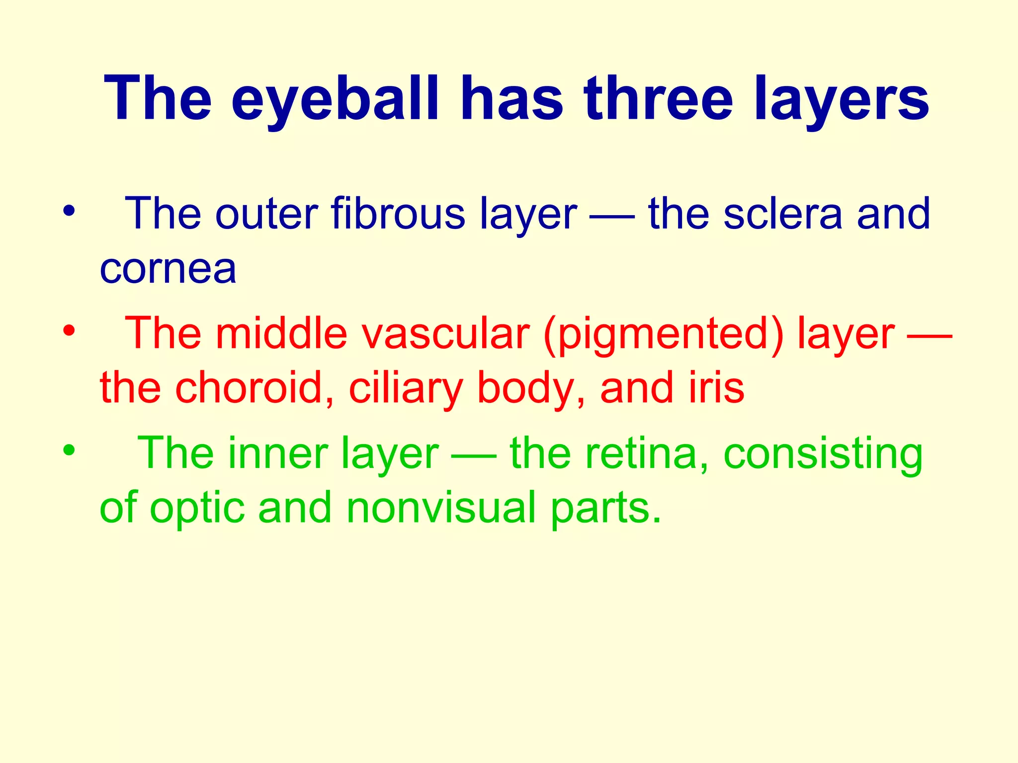The eyeball has three layers
• The outer fibrous layer — the sclera and
cornea
• The middle vascular (pigmented) layer —
the choroid, ciliary body, and iris
• The inner layer — the retina, consisting
of optic and nonvisual parts.
 
