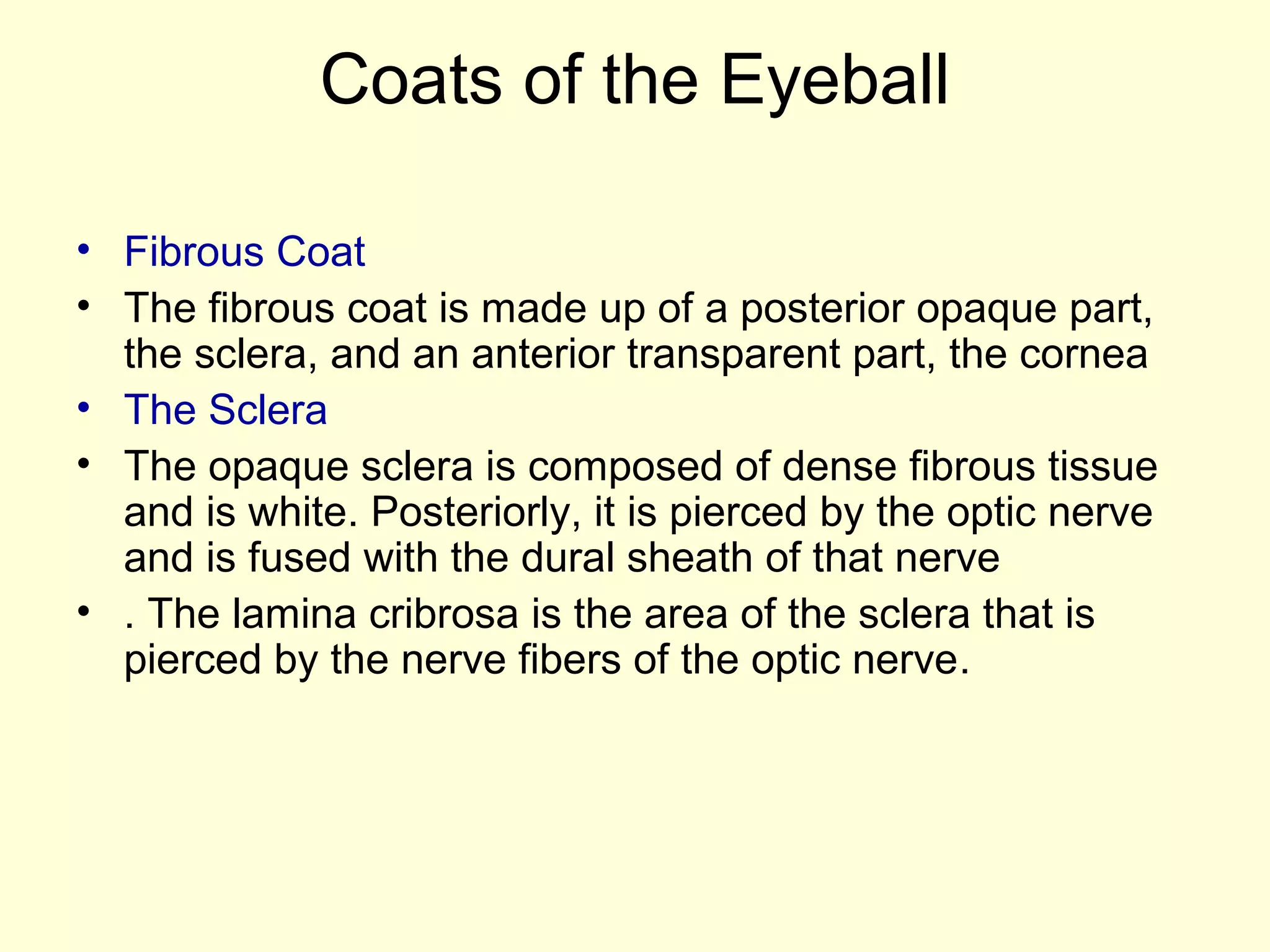 Coats of the Eyeball
• Fibrous Coat
• The fibrous coat is made up of a posterior opaque part,
the sclera, and an anterior transparent part, the cornea
• The Sclera
• The opaque sclera is composed of dense fibrous tissue
and is white. Posteriorly, it is pierced by the optic nerve
and is fused with the dural sheath of that nerve
• . The lamina cribrosa is the area of the sclera that is
pierced by the nerve fibers of the optic nerve.
 
