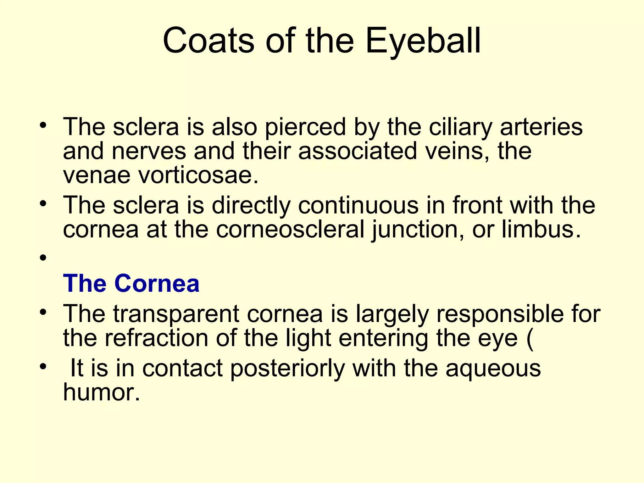 Coats of the Eyeball
• The sclera is also pierced by the ciliary arteries
and nerves and their associated veins, the
venae vorticosae.
• The sclera is directly continuous in front with the
cornea at the corneoscleral junction, or limbus.
•
The Cornea
• The transparent cornea is largely responsible for
the refraction of the light entering the eye (
• It is in contact posteriorly with the aqueous
humor.
 