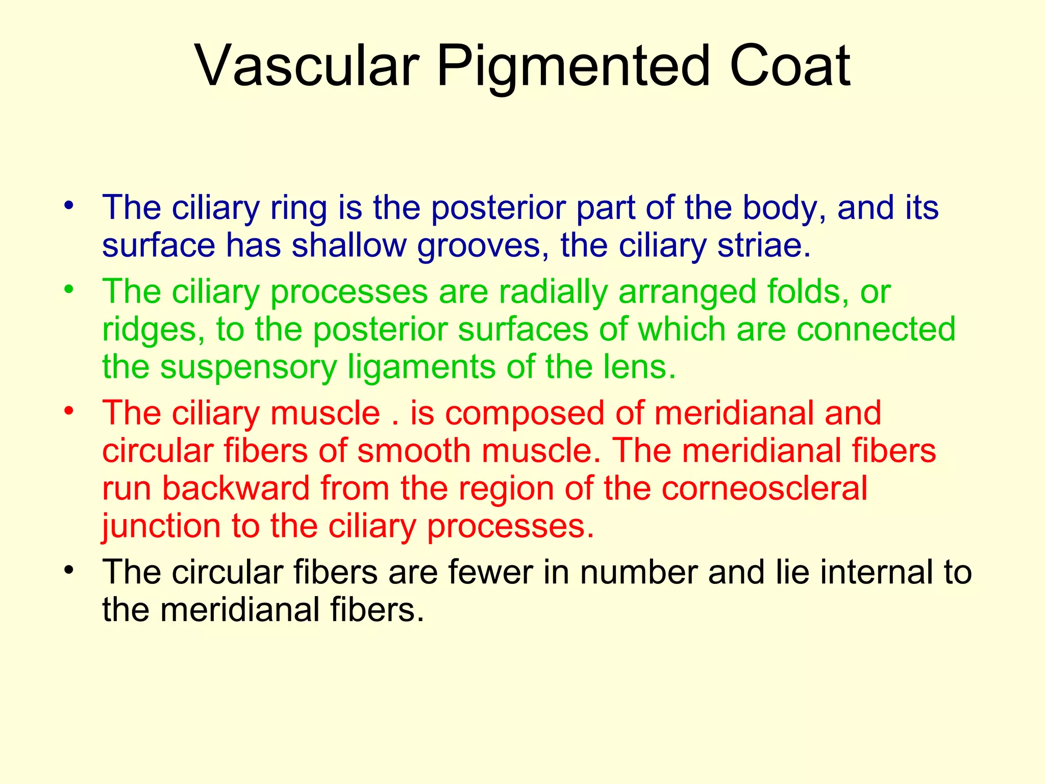 Vascular Pigmented Coat
• The ciliary ring is the posterior part of the body, and its
surface has shallow grooves, the ciliary striae.
• The ciliary processes are radially arranged folds, or
ridges, to the posterior surfaces of which are connected
the suspensory ligaments of the lens.
• The ciliary muscle . is composed of meridianal and
circular fibers of smooth muscle. The meridianal fibers
run backward from the region of the corneoscleral
junction to the ciliary processes.
• The circular fibers are fewer in number and lie internal to
the meridianal fibers.
 