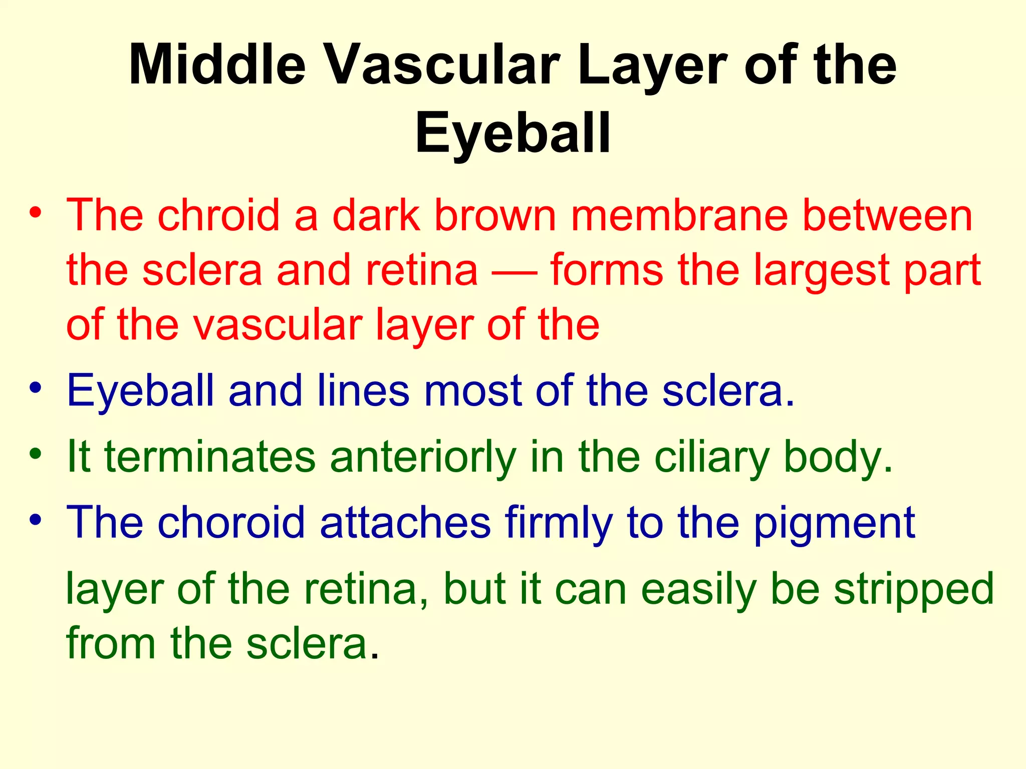 Middle Vascular Layer of the
Eyeball
• The chroid a dark brown membrane between
the sclera and retina — forms the largest part
of the vascular layer of the
• Eyeball and lines most of the sclera.
• It terminates anteriorly in the ciliary body.
• The choroid attaches firmly to the pigment
layer of the retina, but it can easily be stripped
from the sclera.
 