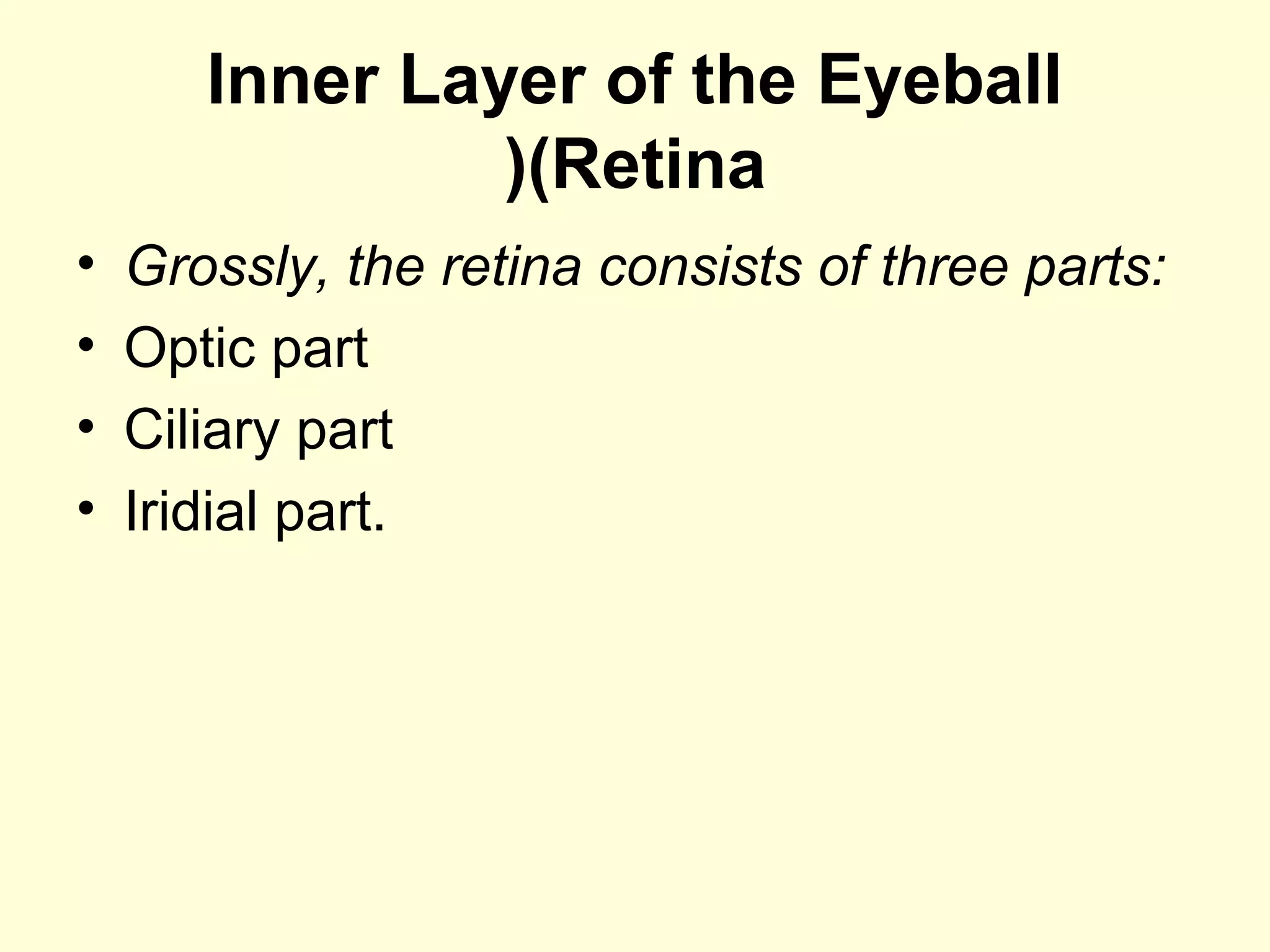 Inner Layer of the Eyeball
(Retina(
• Grossly, the retina consists of three parts:
• Optic part
• Ciliary part
• Iridial part.
 