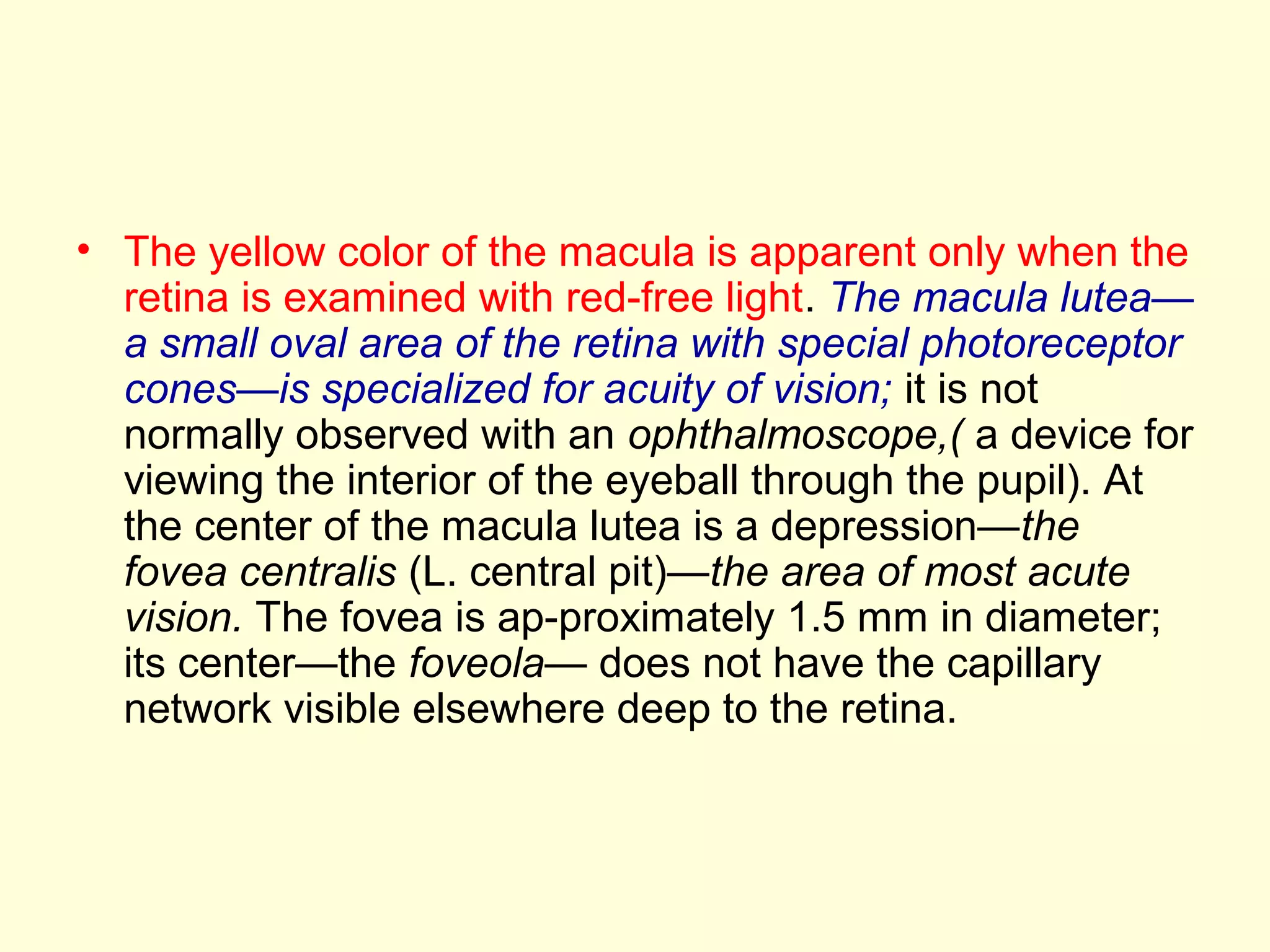 • The yellow color of the macula is apparent only when the
retina is examined with red-free light. The macula lutea—
a small oval area of the retina with special photoreceptor
cones—is specialized for acuity of vision; it is not
normally observed with an ophthalmoscope,( a device for
viewing the interior of the eyeball through the pupil). At
the center of the macula lutea is a depression—the
fovea centralis (L. central pit)—the area of most acute
vision. The fovea is ap-proximately 1.5 mm in diameter;
its center—the foveola— does not have the capillary
network visible elsewhere deep to the retina.
 