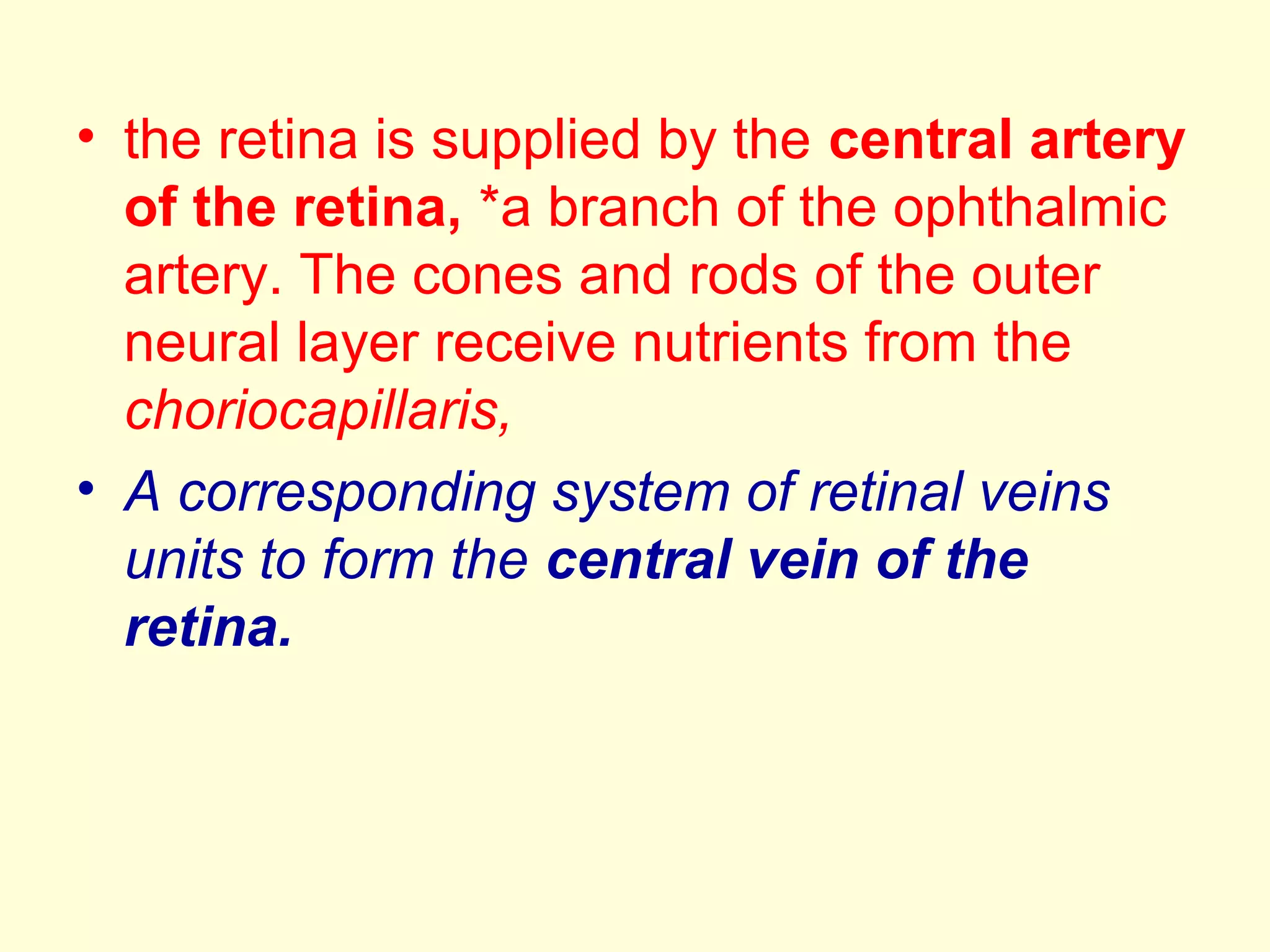 • the retina is supplied by the central artery
of the retina, *a branch of the ophthalmic
artery. The cones and rods of the outer
neural layer receive nutrients from the
choriocapillaris,
• A corresponding system of retinal veins
units to form the central vein of the
retina.
 