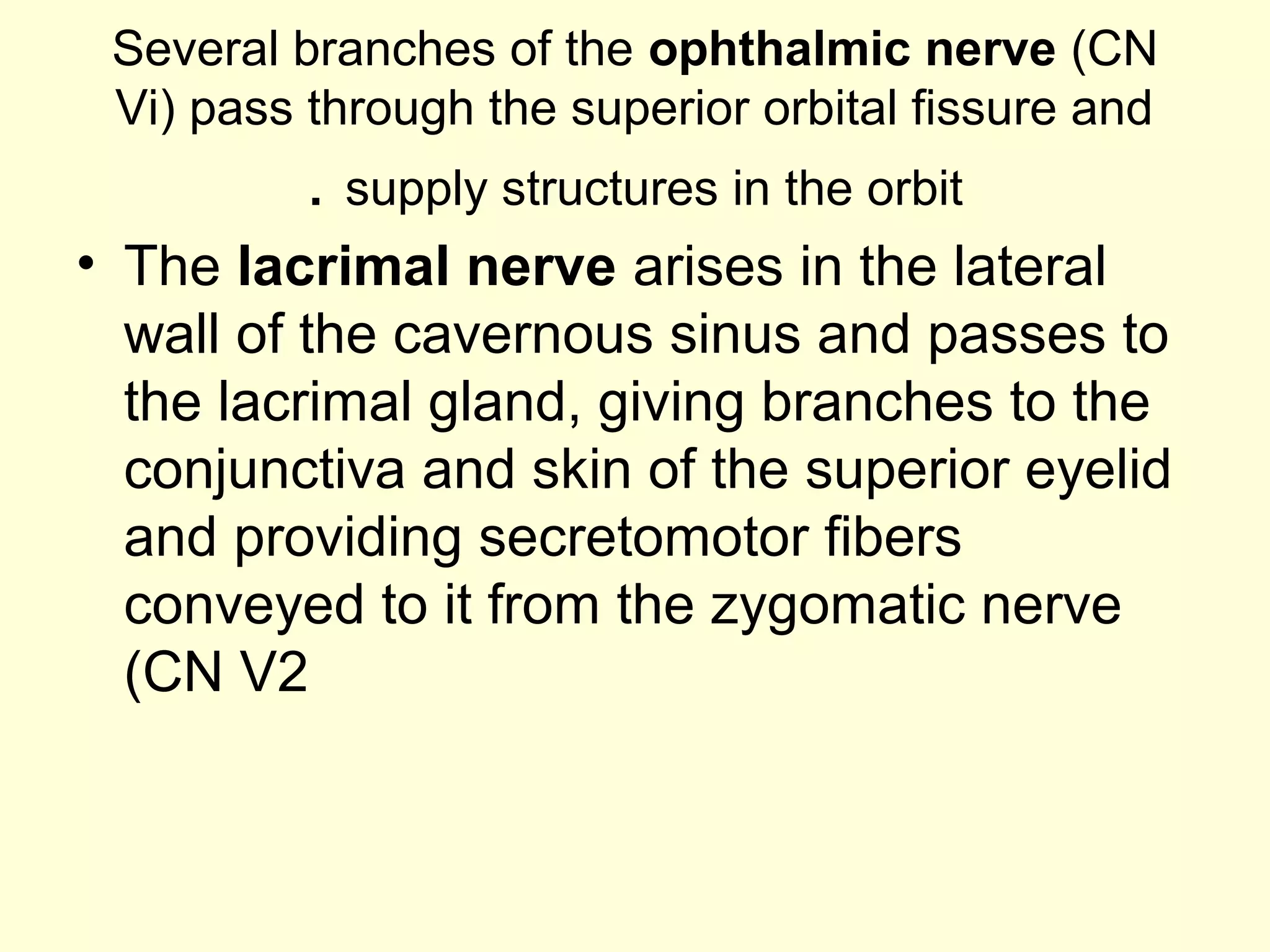 Several branches of the ophthalmic nerve (CN
Vi) pass through the superior orbital fissure and
supply structures in the orbit.
• The lacrimal nerve arises in the lateral
wall of the cavernous sinus and passes to
the lacrimal gland, giving branches to the
conjunctiva and skin of the superior eyelid
and providing secretomotor fibers
conveyed to it from the zygomatic nerve
(CN V2
 